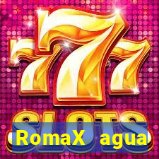 RomaX agua sanitaria fispq agua sanitaria romax